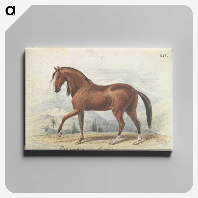 1-2_Charles-Hamilton-Smith_canvas