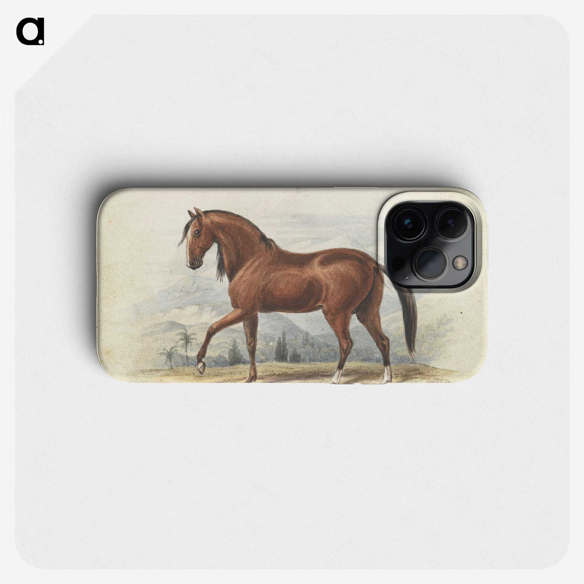 1-2_Charles-Hamilton-Smith_phone