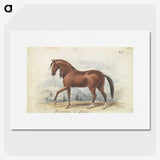 1-2_Charles-Hamilton-Smith_picture