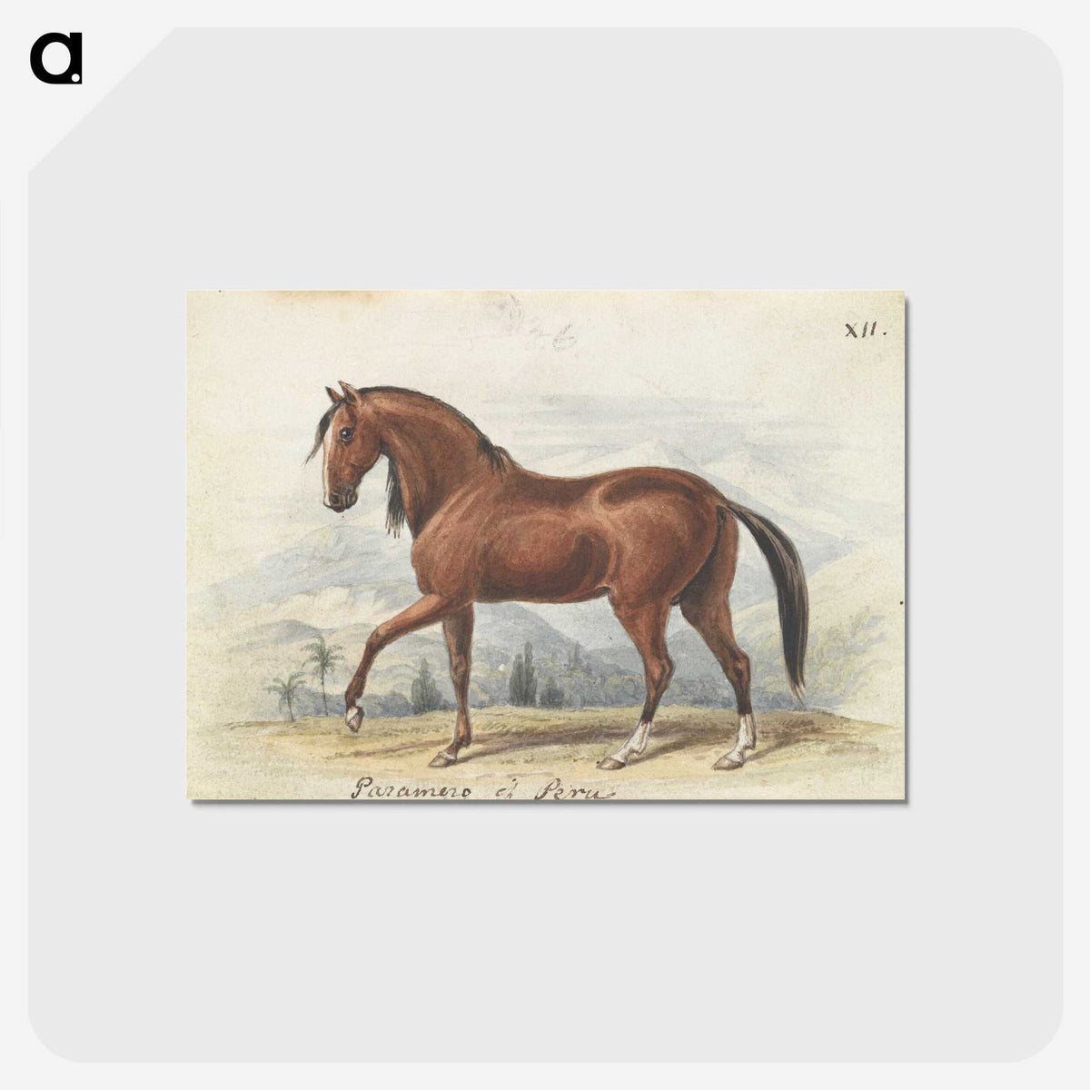 1-2_Charles-Hamilton-Smith_postcard