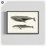 1-2_Charles-Melville-Scammon_blk-crop