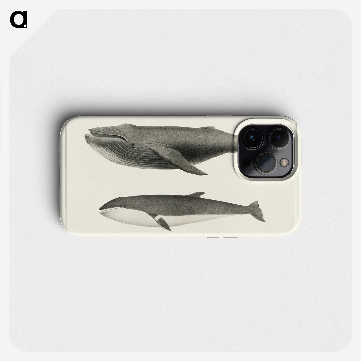 1-2_Charles-Melville-Scammon_phone