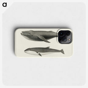 1-2_Charles-Melville-Scammon_phone