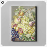 1-2_Cornelis-Ploos-van-Amstel_canvas