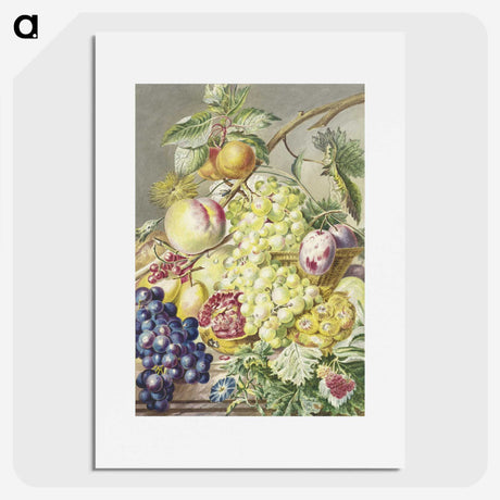 1-2_Cornelis-Ploos-van-Amstel_picture