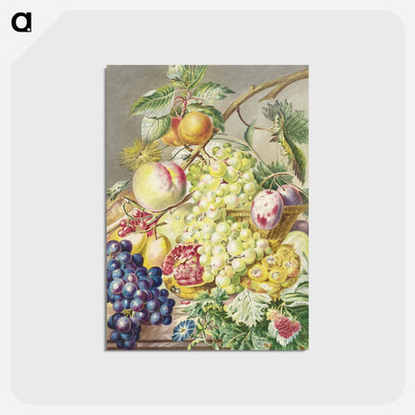 アートポストカード-Fruitstuk
 - コルネリス プロース ファン アムステル Postcard.