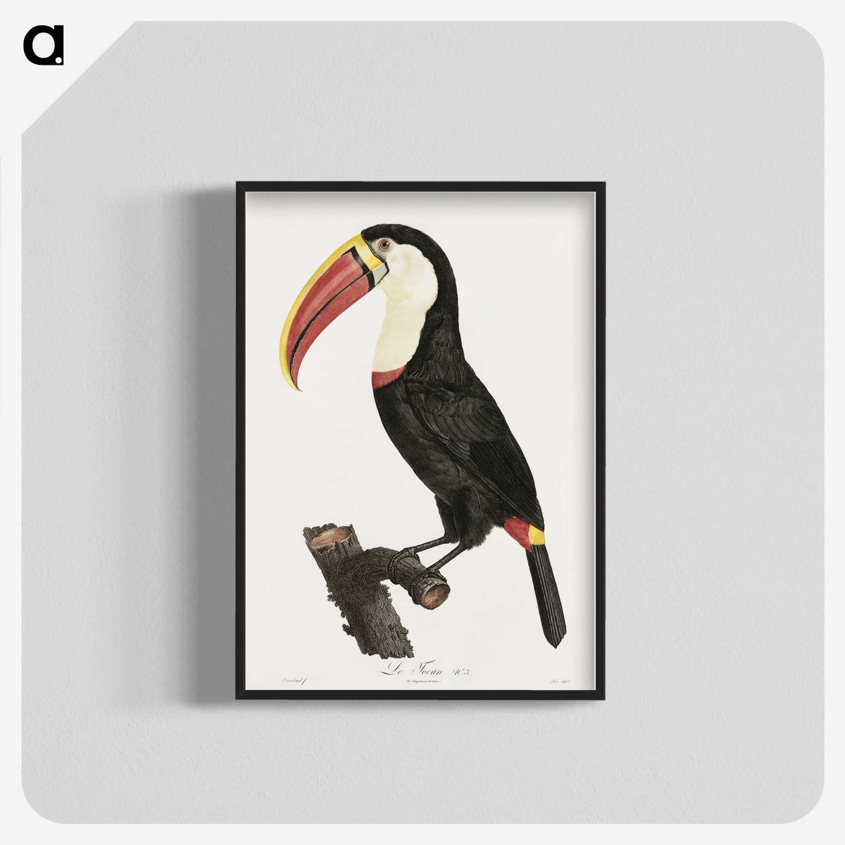 1-2_Des-Oiseaux-de-Paradis_blk-crop