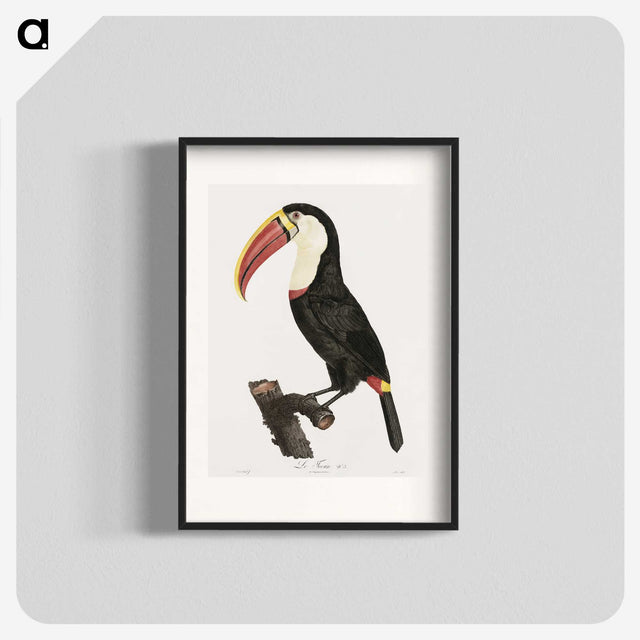 1-2_Des-Oiseaux-de-Paradis_blk