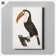 1-2_Des-Oiseaux-de-Paradis_canvas