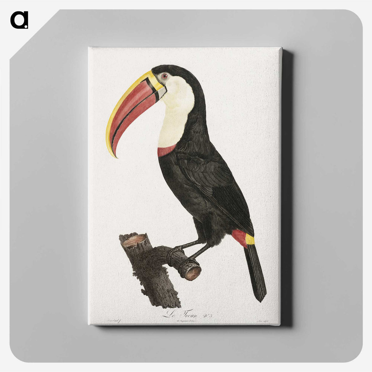1-2_Des-Oiseaux-de-Paradis_canvas