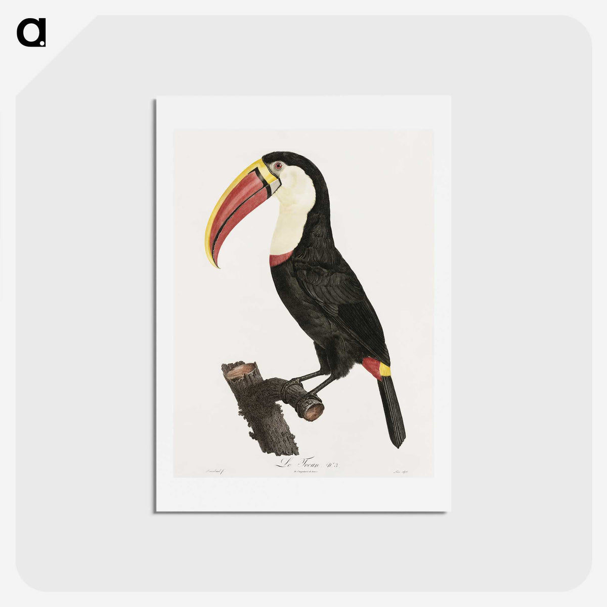 1-2_Des-Oiseaux-de-Paradis_hagaki