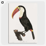 1-2_Des-Oiseaux-de-Paradis_picture-crop