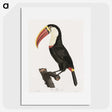 1-2_Des-Oiseaux-de-Paradis_picture