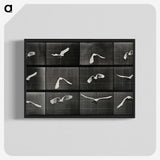 1-2_Eadweard-Muybridge_blk-crop