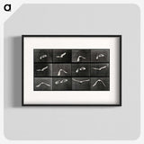 1-2_Eadweard-Muybridge_blk