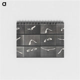 1-2_Eadweard-Muybridge_memo