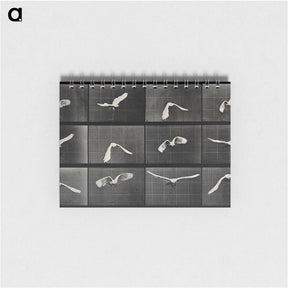 1-2_Eadweard-Muybridge_memo