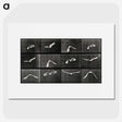 1-2_Eadweard-Muybridge_picture