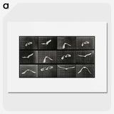 1-2_Eadweard-Muybridge_picture