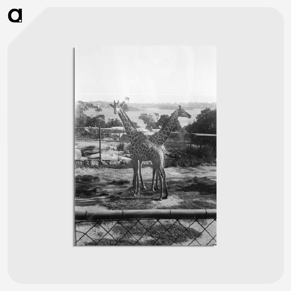 1-2_Eric-Lee-Johnson_postcard