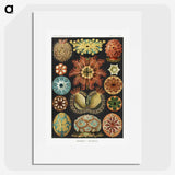 1-2_Ernst-Haeckel_picture