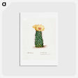 アートポストカード-Beehive Cactus
 - サボテン科 Postcard.