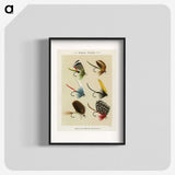 1-2_Favorite-Flies-and-Their-History_blk