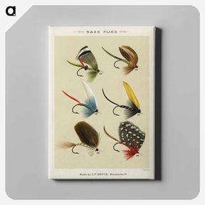 1-2_Favorite-Flies-and-Their-History_canvas