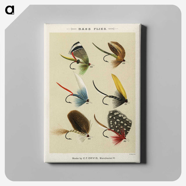 1-2_Favorite-Flies-and-Their-History_canvas