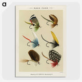 1-2_Favorite-Flies-and-Their-History_picture-crop