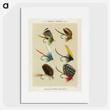 1-2_Favorite-Flies-and-Their-History_picture