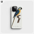 1-2_Francois-Levaillant_phone