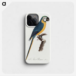 1-2_Francois-Levaillant_phone