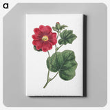 1-2_Fransis-Sansom_canvas