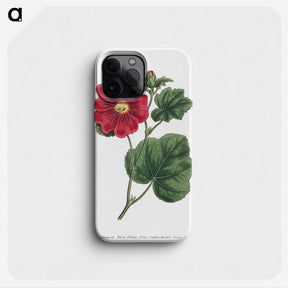 1-2_Fransis-Sansom_phone