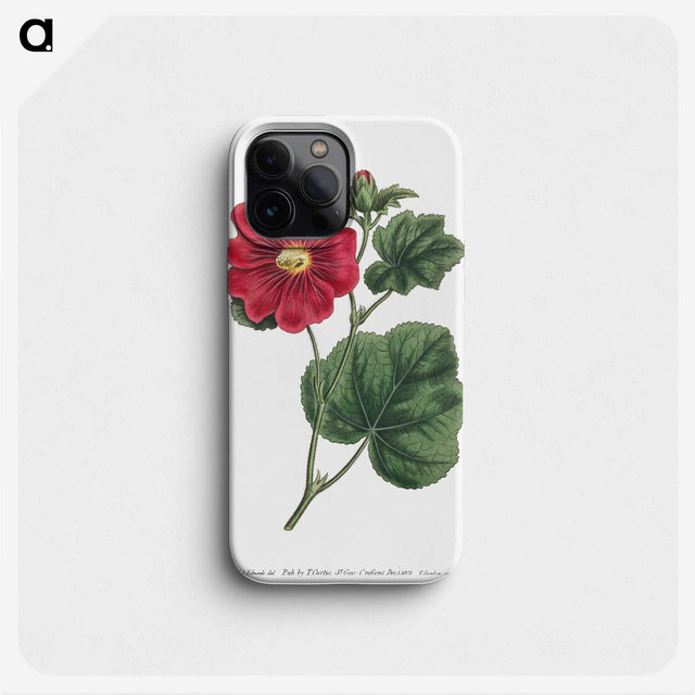 1-2_Fransis-Sansom_phone