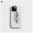 1-2_Georg-Dionysius-Ehret_phone