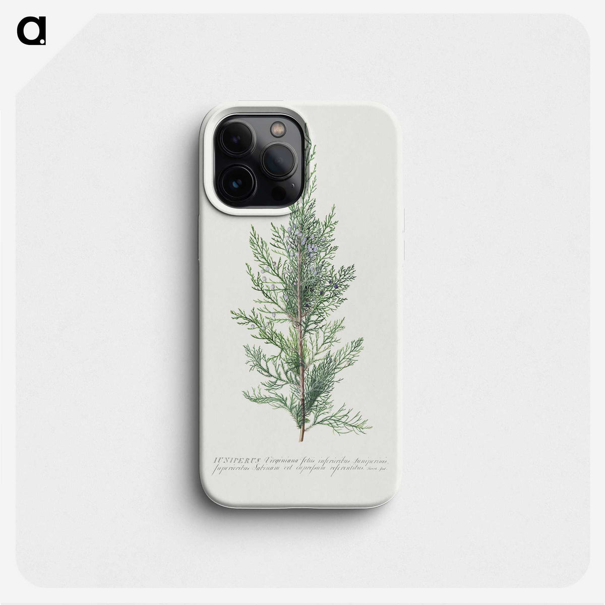 1-2_Georg-Dionysius-Ehret_phone