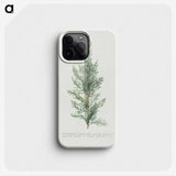 1-2_Georg-Dionysius-Ehret_phone