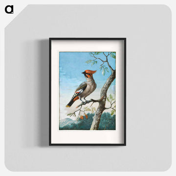 Bird Study
 - ジョージ エドワーズ Poster.