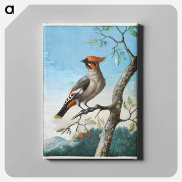 Bird Study
 - ジョージ エドワーズ Canvas.