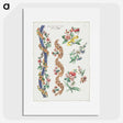 1-2_Giacomo-Cavenezia_picture