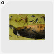 1-2_Hieronymus-Bosch_postcard