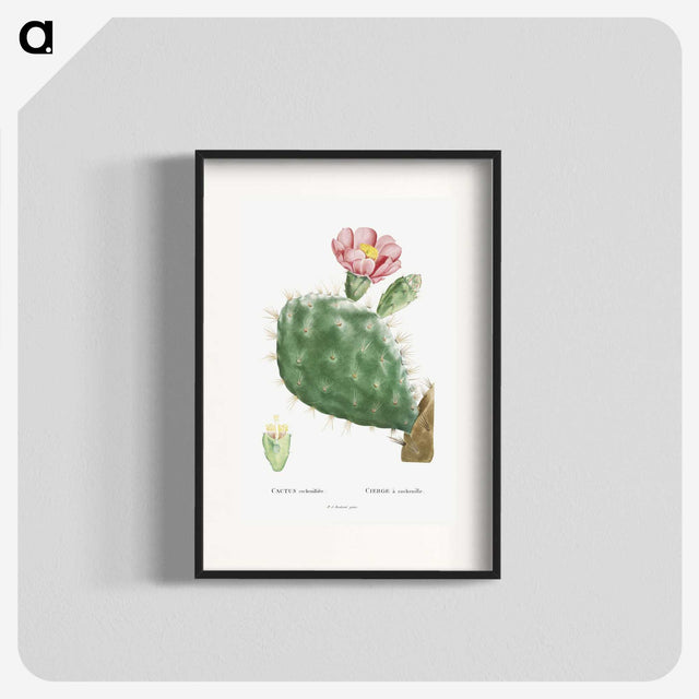 1-2_Histoire-des-Plantes-Grasses_blk
