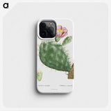 1-2_Histoire-des-Plantes-Grasses_phone