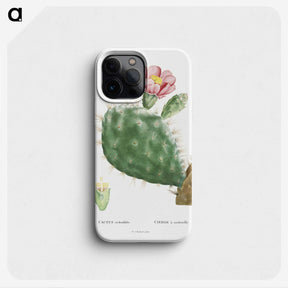 1-2_Histoire-des-Plantes-Grasses_phone