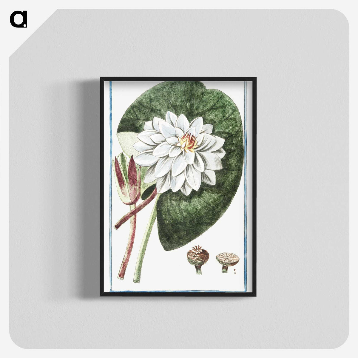 1-2_Hortus-Romanus-Botanical-Plates_blk-crop