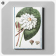 1-2_Hortus-Romanus-Botanical-Plates_canvas