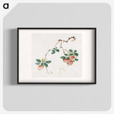 1-2_Hu-Zhengyan_blk