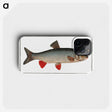 1-2_Ichtyologie-ou-Histoire-naturelle_phone